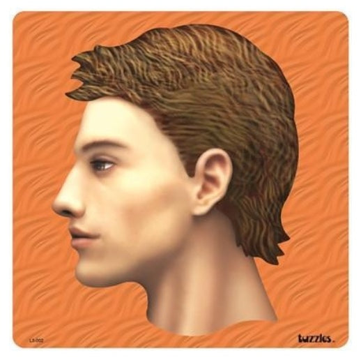 Inside My Head 3 Layer Puzzle 43pcs