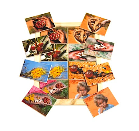 Bush Tucker Memory Game