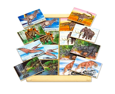 Prehistoric Animals Memory Game