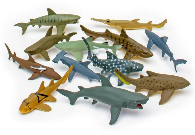 Sharks Small 12pcs
