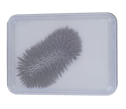 Iron Filings in Case