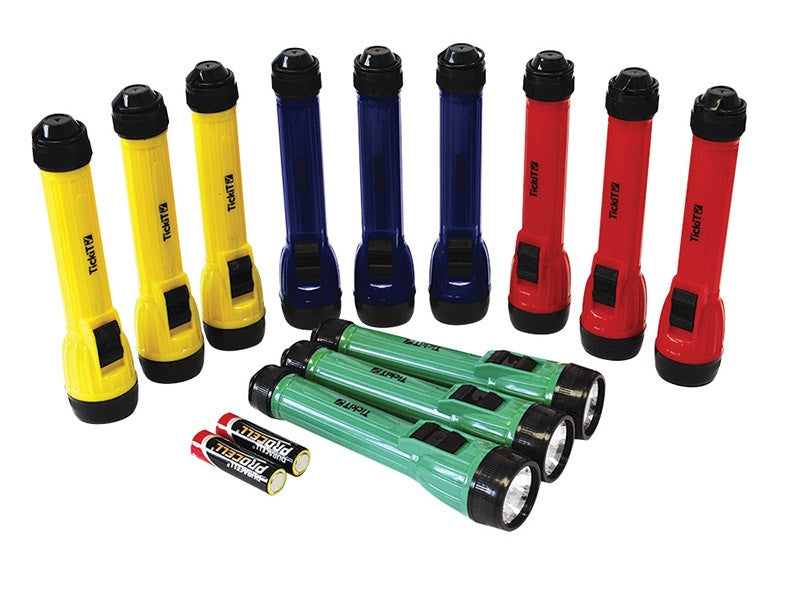 LED Torches Set of 12