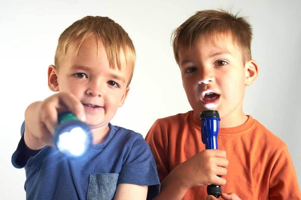 LED Torches Set of 12