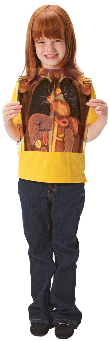 Look Inside Me MRI Scan 18pcs