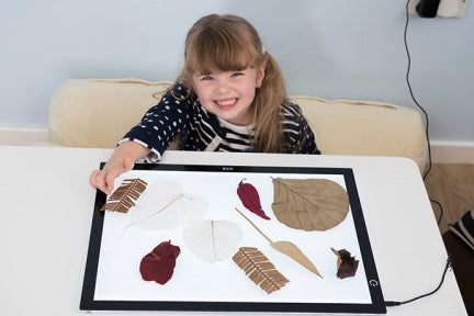 Illuminated Viewing Panel