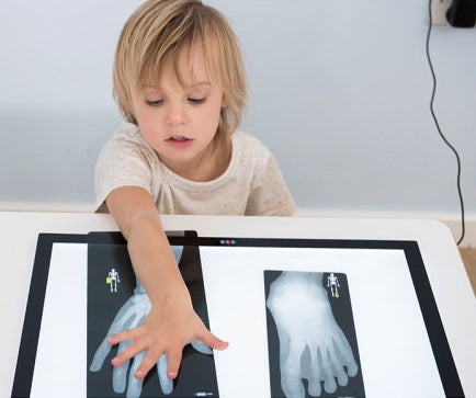 Illuminated Viewing Panel