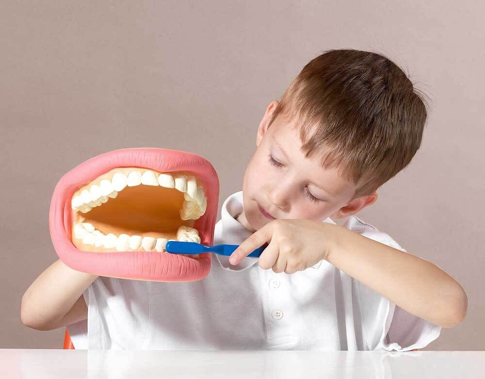Giant Teeth Demonstrator Hand Puppet