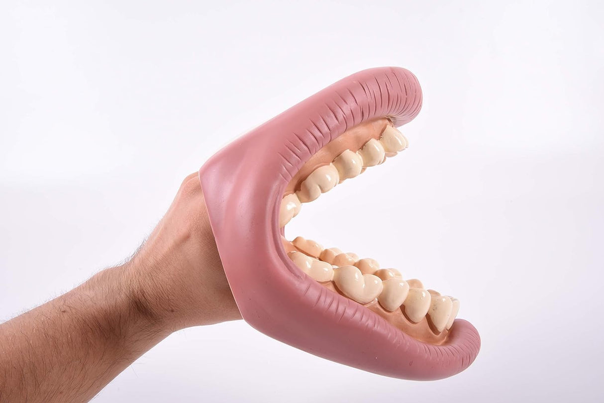 Giant Teeth Demonstrator Hand Puppet