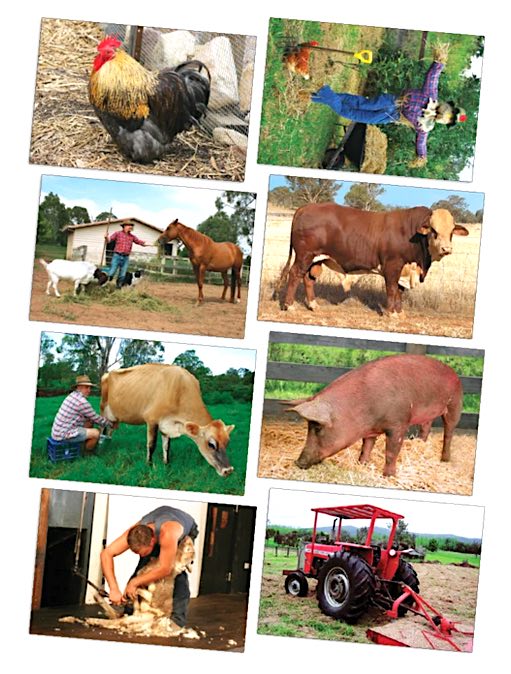 Farm Posters Set of 8
