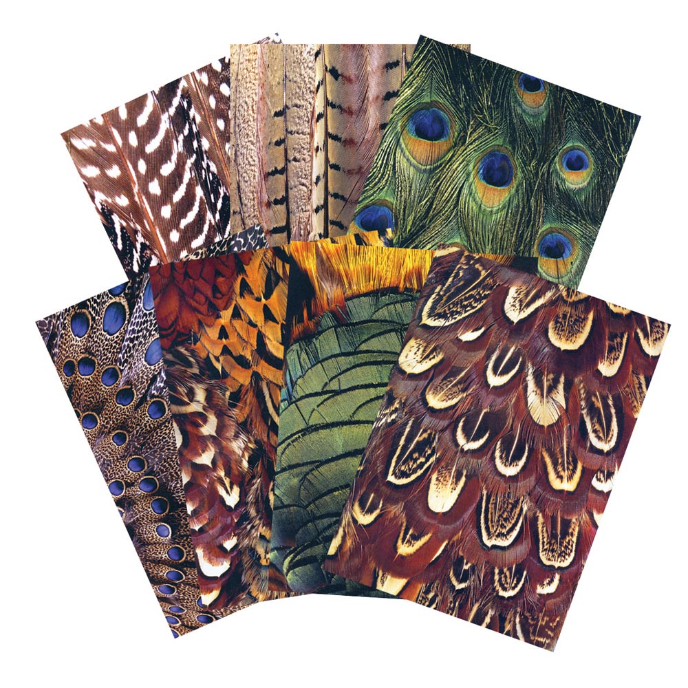Pattern Paper Feathers 40pcs