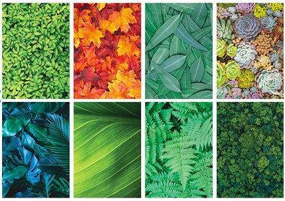 Foliage Pattern Paper 40pcs