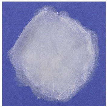 Metallic Gold and Silver Paint Slicks 12pcs