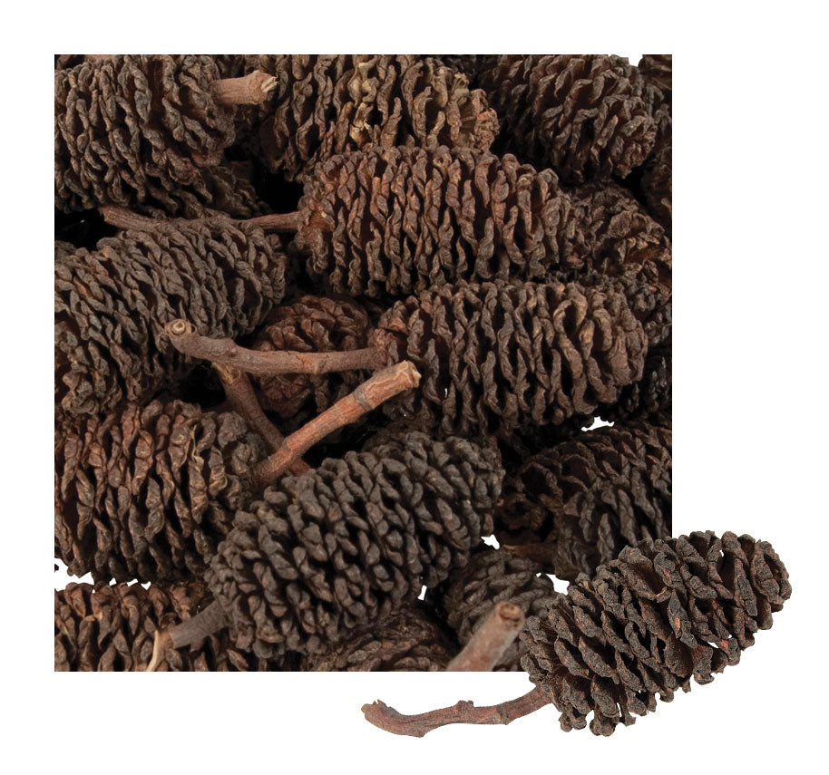 Mini Bud Cones in Calico Bag 220g