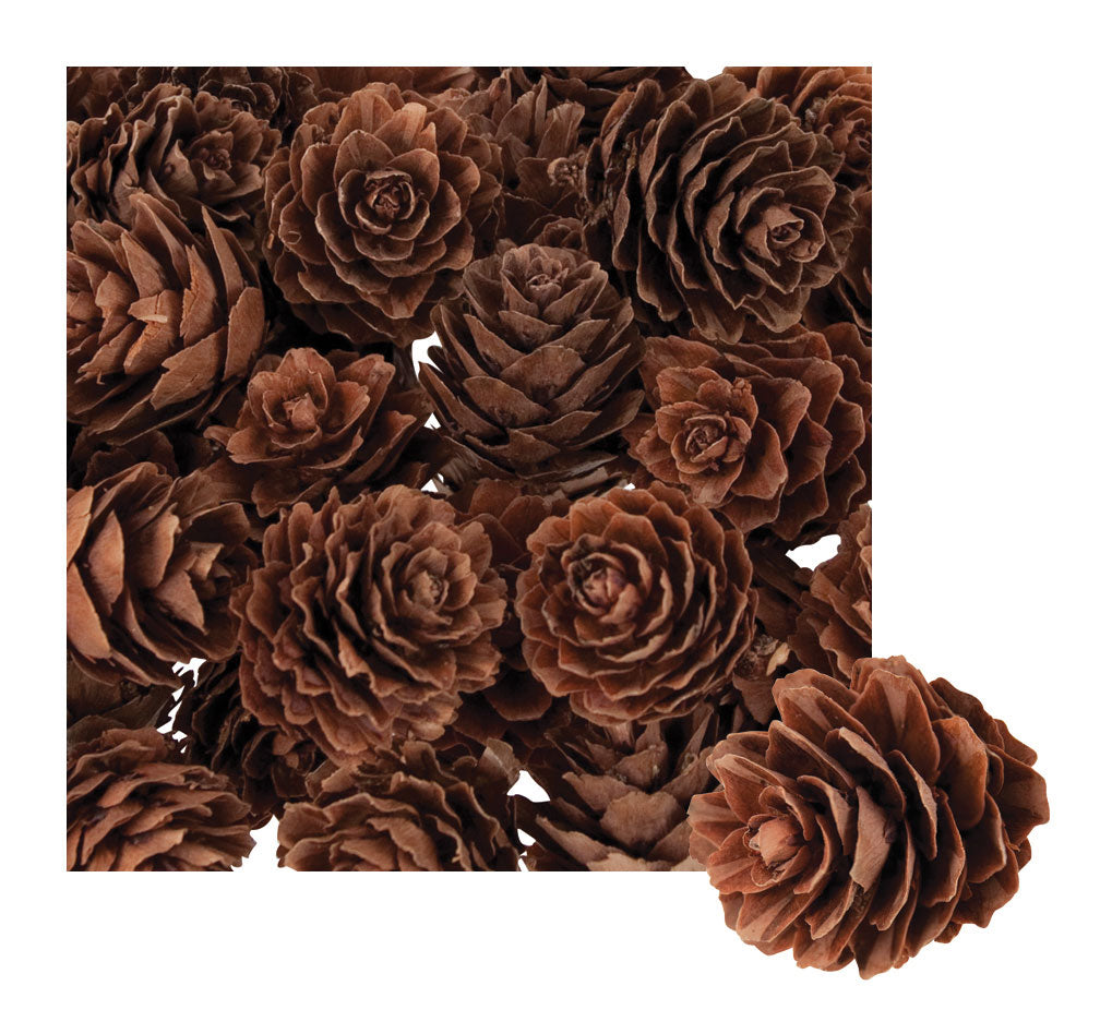 Mini Pine Cones in Calico Bag 190g