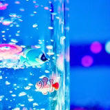 Bubble Tube 183cm