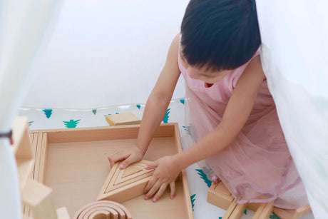 Friedrich Froebel: The Founder Of "Kindergartens"