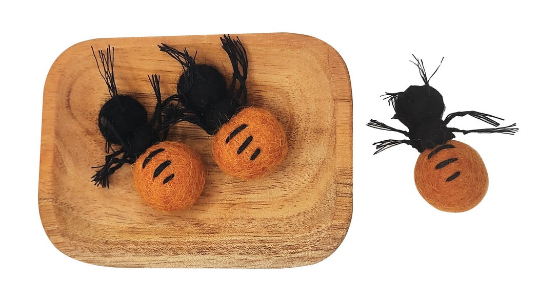 Bush Tucker Honey Ant and Coolamon Set