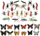 Butterflies and Assorted Insects 36pcs