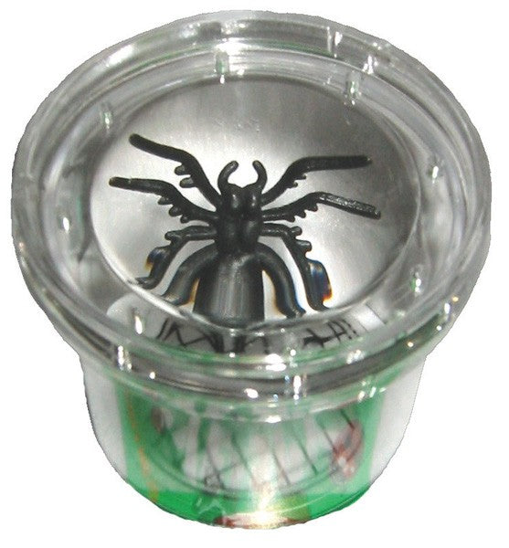 Bug Eye