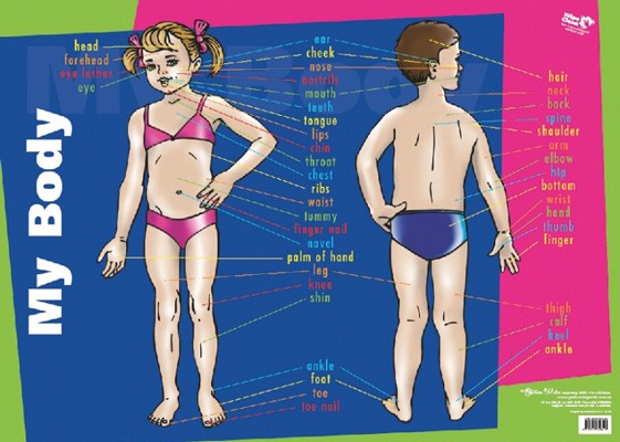 My Body Poster