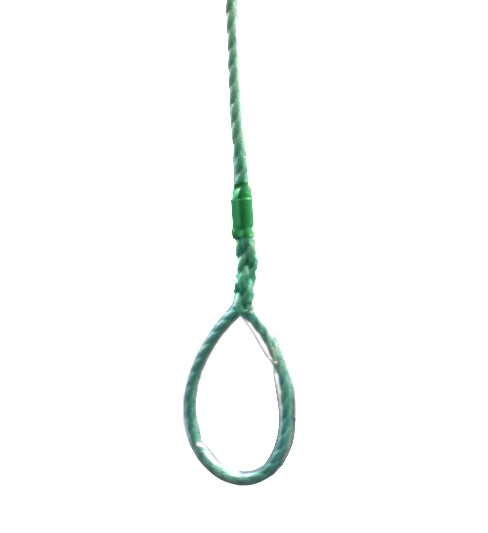 Foot Loop Swing