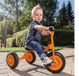 TT Series Trike Small