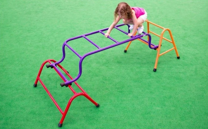 Aluminium Step Up Climber 166cmL