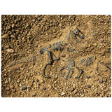 Fossil Finder Carpet 2m x 1.5m