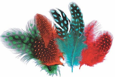 Feathers Guinea Fowl 10g