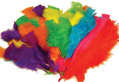 Feathers Pack Assorted Colours 60g