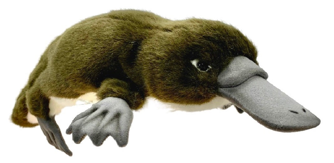 Platypus Full Body Puppet 49cm