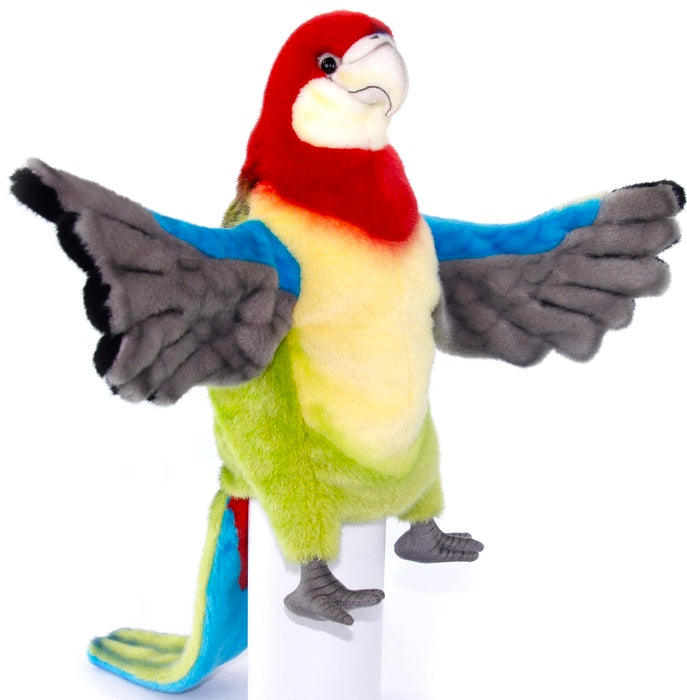 Eastern Rosella Full Body Puppet 50cm