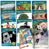 Phonemic Awareness Kit - Letters and Sounds Phase 1
