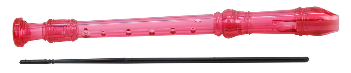 Recorder with Cleaning Rod