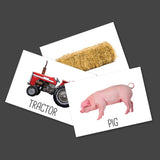 On the Farm Costumes Set of 10 Children's and 1 Educator Costume