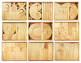 Project Blocks Nine Trays 207pcs