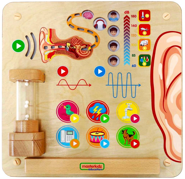 Activity Board - Sense of Hearing