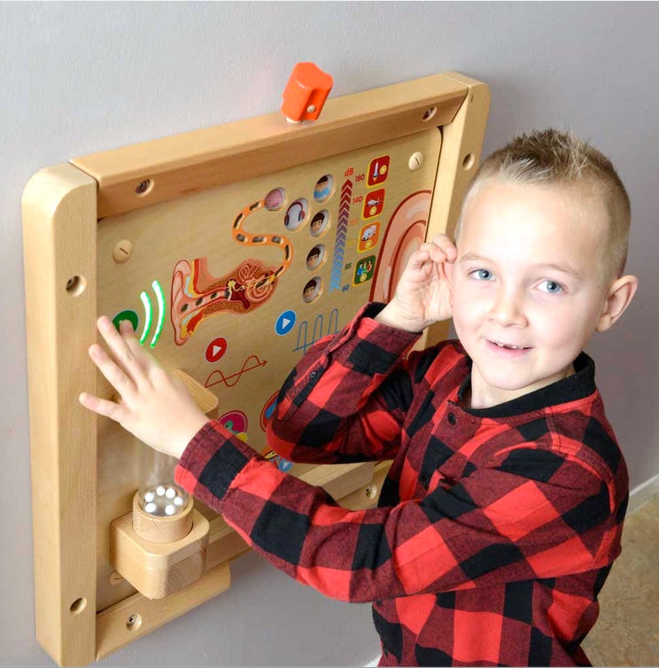 Activity Board - Sense of Hearing