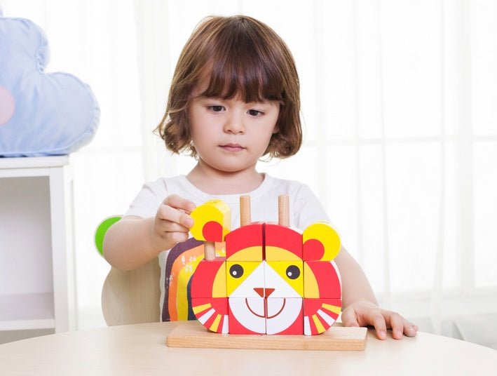 Lion Block Stacker 17pcs
