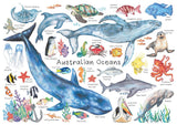 Australian Ocean Animals A3 Puzzle 24pcs
