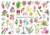 Australian Plants A3 Puzzle 96pcs