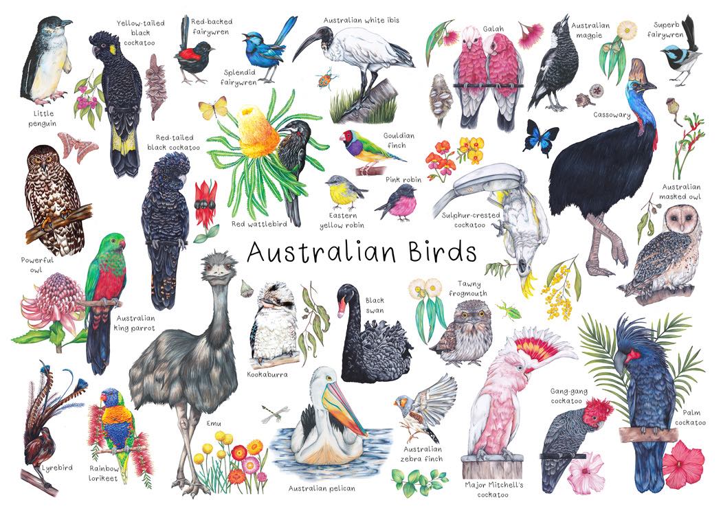 Australian Birds A3 Puzzle 24pcs