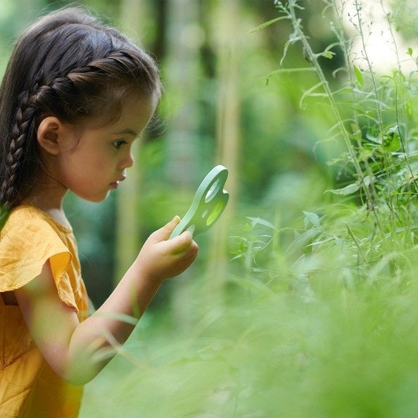 Natural World Exploration