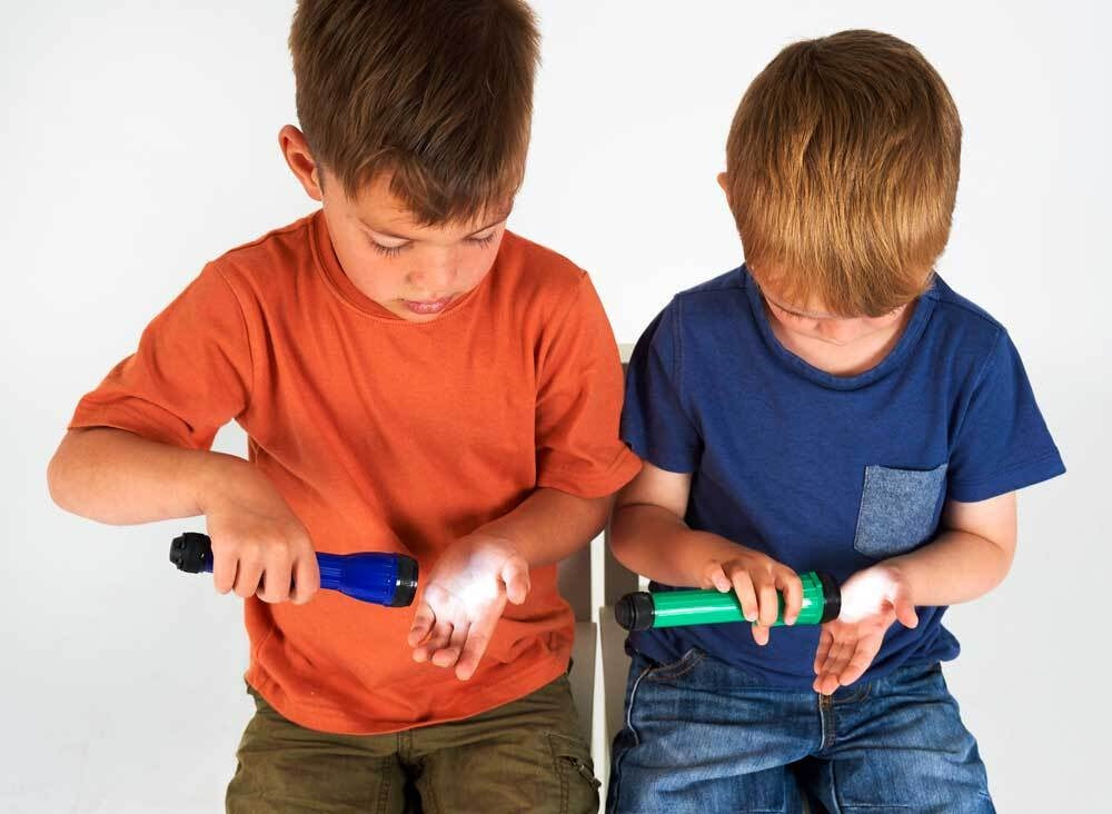 LED Torches Set of 12