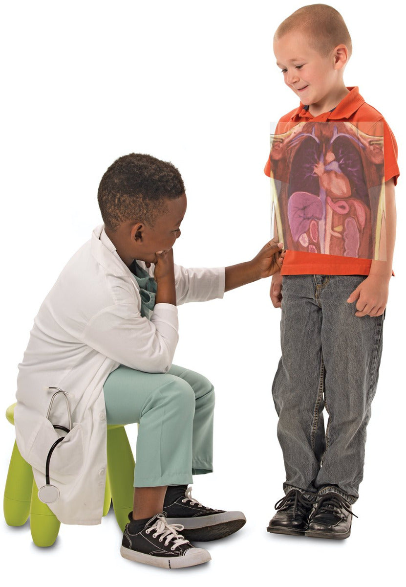 Look Inside Me MRI Scan 18pcs