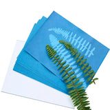 Sunprint Paper Kits For Solar Printing