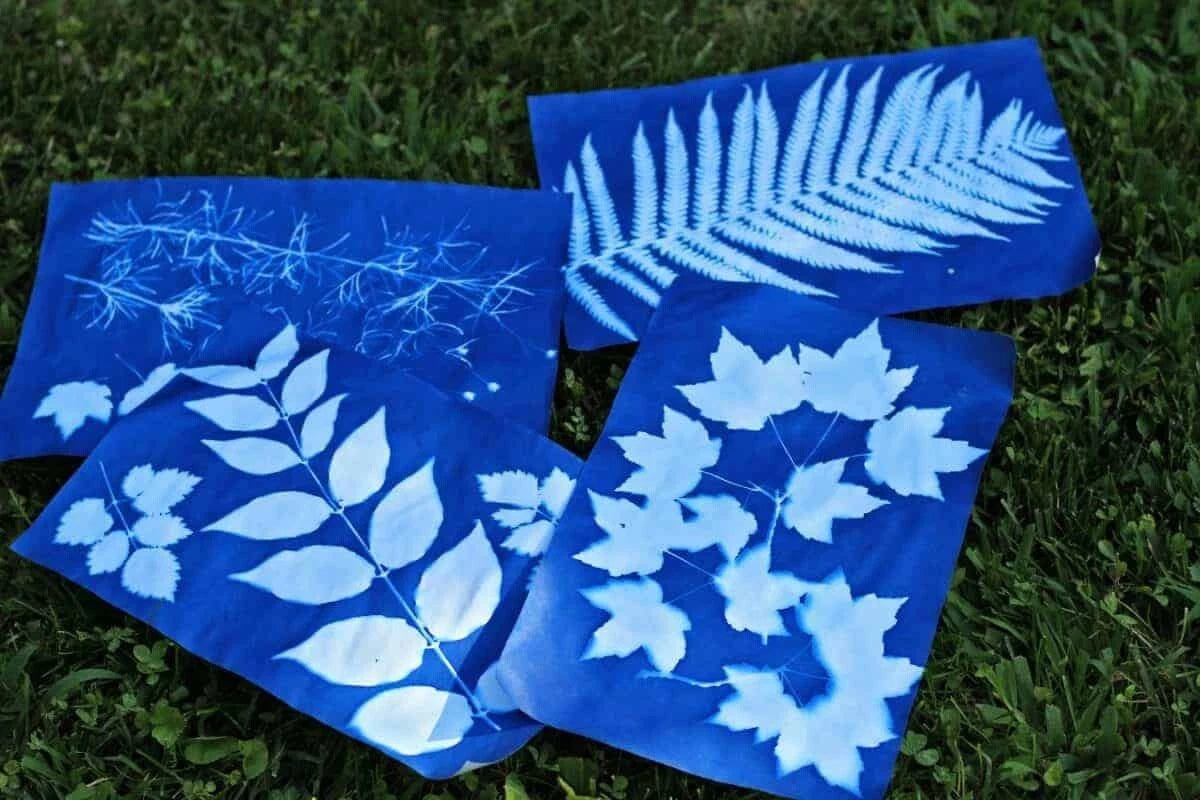Sunprint Paper Kits For Solar Printing