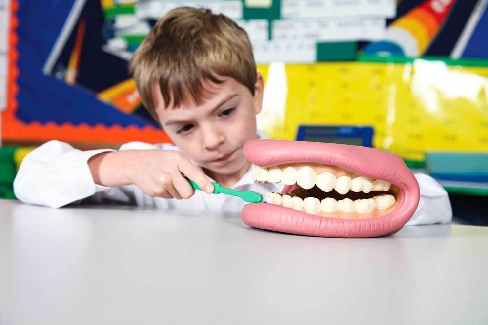 Giant Teeth Demonstrator Hand Puppet