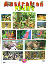 Australian Wildlife Poster