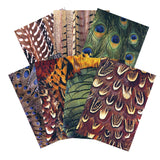 Pattern Paper Feathers 40pcs